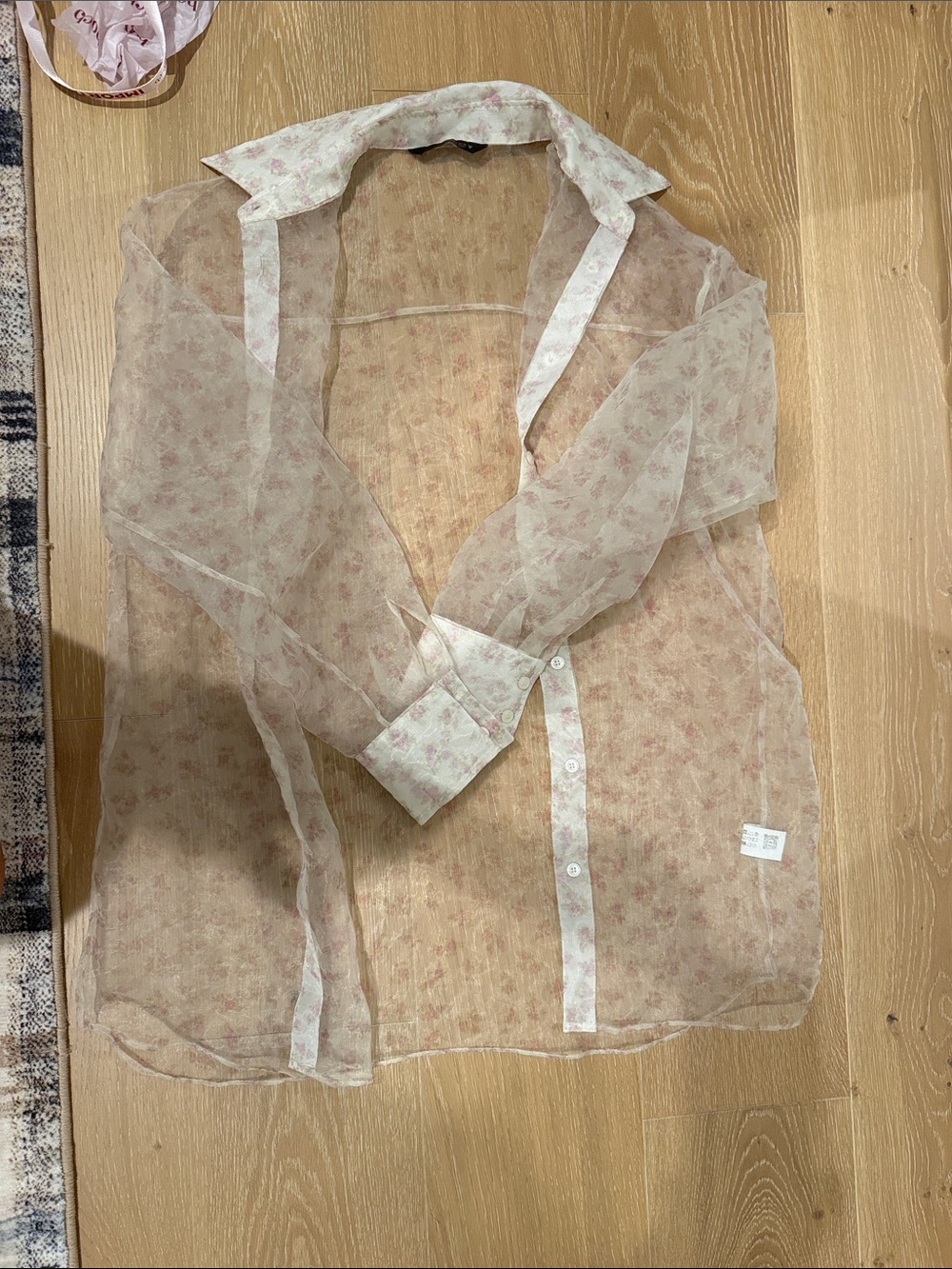Zara Sheer Floral Button-Up Blouse in Pale Pink